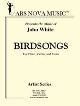 Birdsongs Flute Violin and Viola cover